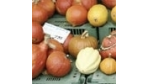 Sparen bei der Beschaffung: Zehn Schritte ins E-Procurement
