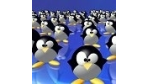 IDC-Studie: Linux-Server werden zum Mainstream