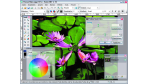 Bunt mit .NET