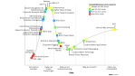 Softwaremarkt zwischen SOA und Web 2.X - Foto: Gartner