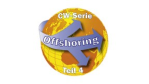 Offshoring: Wie preiswert ist es?