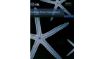 Itil V 3, Buch 5: Die Veränderung als Institution - Foto: itSMF