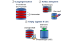 ERP: SAP-Release-Wechsel mit System Landscape Optimization (SLO) kombinieren