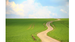 Enterprise Resource Planning: Baan-Anwender drohen mit Abwanderung - Foto: Pixelio