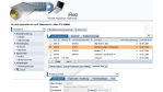 ERP-Add-on: SAP-Bestellsystem für den kleinen Dienstweg