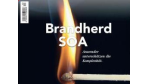 Reality Check: Was vom SOA-Hype übrig bleibt