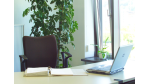 Neue Arbeitswelt: Coworking - Wir nennen es Office - Foto: Manolito/Fotolia.com