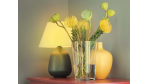 LEDs: Osram erarbeitet Supply-Chain-Roadmap - Foto: Pressebild/Osram