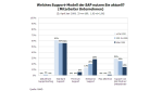 Support-Modelle von SAP: SAP Enterprise Support - Stein des Anstoßes - Foto: RAAD Research