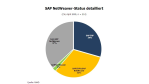 ERP und Middleware: Wie die Eidgenossen SAP Netweaver nutzen - Foto: RAAD Research