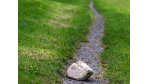 Freiberufler: Worüber Selbständige stolpern - Foto: Fotolia, Digital Fineart