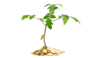 Klamme Investoren: Schwieriger Start für IT-Gründer - Foto: Fotolia.com