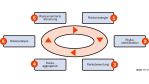Risiko-Management für das Rating