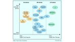 Supply-Chain-Management/Überblick über den Markt für Supply-Chain-Management-Software: Die einstigen Stars sind verblasst
