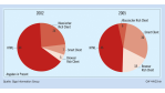 Web-Services/Web-Services entkoppeln Client- und Server-Architekturen: Die Renaissance des Rich Client