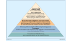 E-Recruiting/Was Human-Resources Management-Systeme (HRMS) bringen: Personalsoftware: Stärken und Defizite