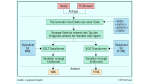 Extensible Markup Language (XML)/Übersicht über Cocoon 2: Publishing mit freier Apache-Software
