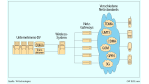 M-Commerce/Die Suche nach der Mobile-Application-Plattform: Vielfalt der Endgeräte erschwert das Mobile Banking