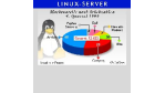 Umsätze im Lowend-Bereich steigen um 166 Prozent: Linux-Server starten durch