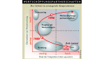Trends in der IT-Dienstleistung/Neue Wege der Kooperation mit externen Partnern: Insourcing von externem Management, externer Expertise und Arbeitskraft