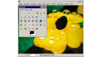 Bildbearbeitungstool im Test: Gimp 2.4 RC 3