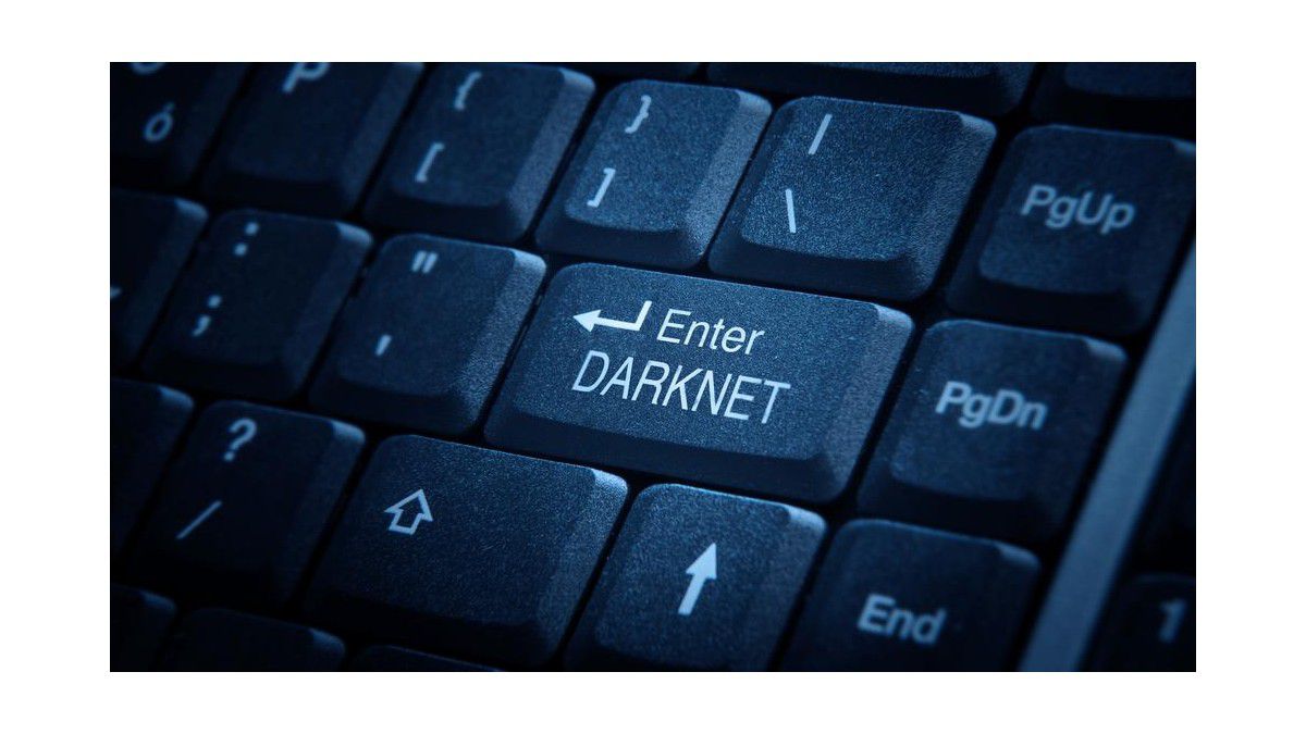 Darknet sex suche