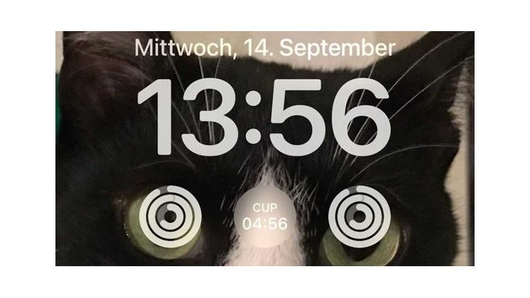 Die besten Widgets: Sperrbildschirm unter iOS 16 einrichten
